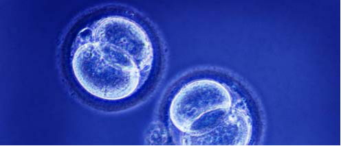 1531990850309933IKVu.png 圖片14.png