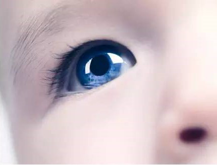 15319910412101443Quh.png 圖片17.png