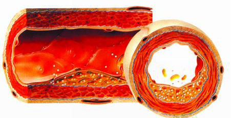 1532045939247368KOxt.png 圖片24.png