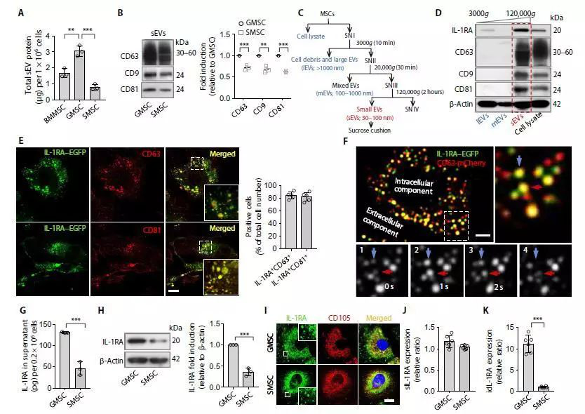 1537424681983571tsyy.png 圖片3.png