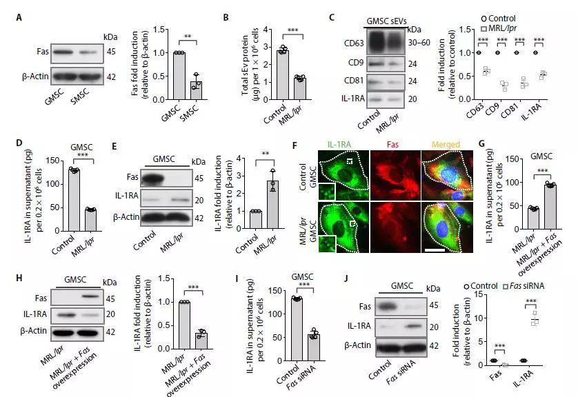 1537424695266114tCNV.png 圖片4.png