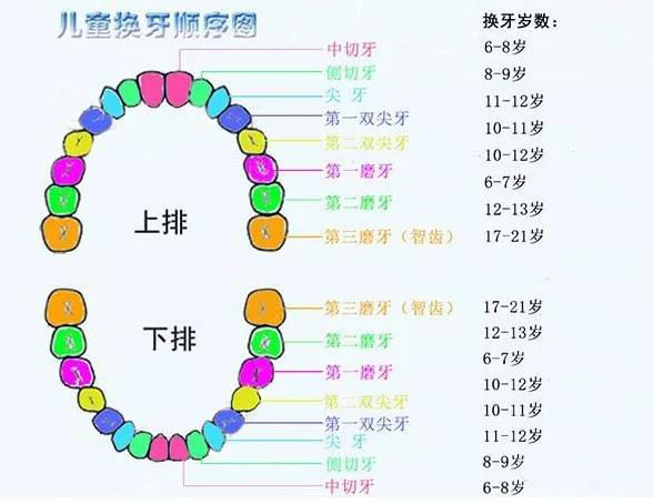 1539740106831765RX4O.jpg 1.jpg