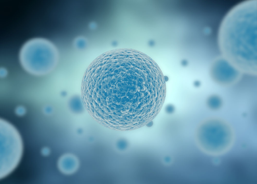 1563761943652294aVEF.png 圖片4.png